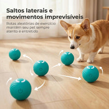 Carregar imagem no visualizador da galeria, 🔥 ÚLTIMA CHANCE: Bolinha Que Brinca Sozinha - Seu Cachorro Vai IMPLORAR Por Ela!
